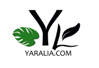 yaralia.com